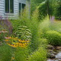 Incorporating Native Plants into Your Rain Garden: A Practical Guide