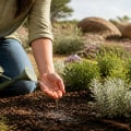 Understanding Soil and Watering Needs for Native Plant Gardening