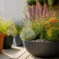 Creative Ways to Incorporate Native Plants in Small Spaces and Container Gardens