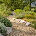 Creating a Low-Maintenance Native Plant Garden: A Step-by-Step Approach