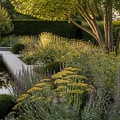 Incorporating Native Plants into Formal Garden Designs