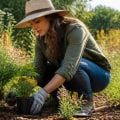 Exploring Resources for Native Plant Gardening: A Comprehensive Guide