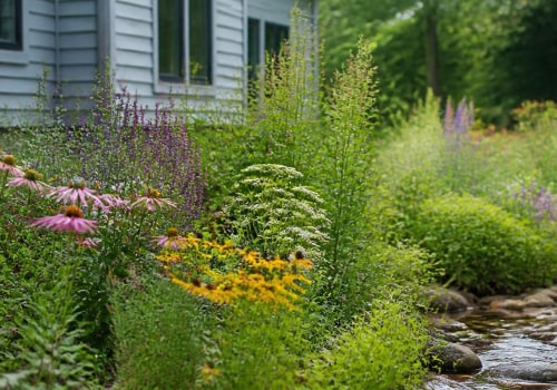 Incorporating Native Plants into Your Rain Garden: A Practical Guide