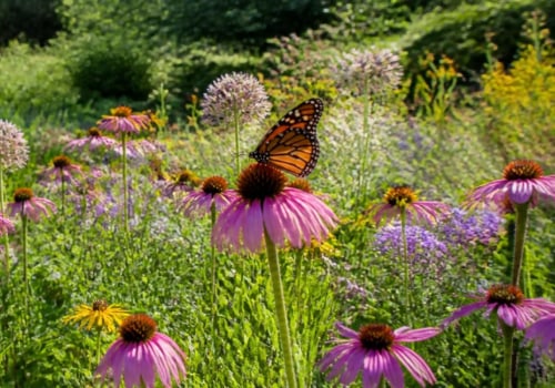 The Environmental Benefits of Native Plant Gardening