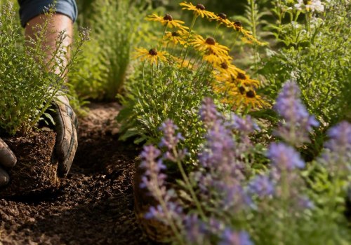Essential Planting Techniques for Successful Native Plant Gardening
