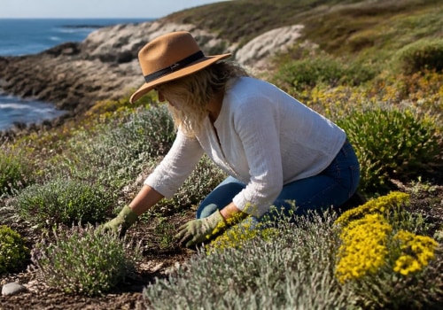 Essential Considerations for Native Plant Gardening in Coastal Areas