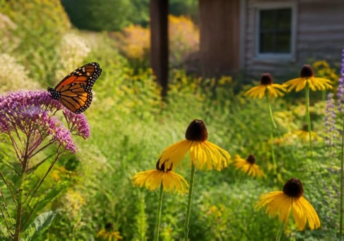 Understanding Native Plant Gardening: Benefits and Best Practices