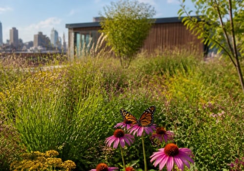 Embracing Native Plants: Transforming Your Rooftop and Urban Garden