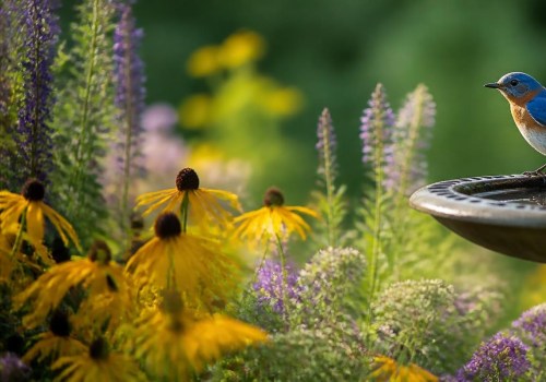 Attracting Birds to Your Native Plant Garden: A Practical Guide